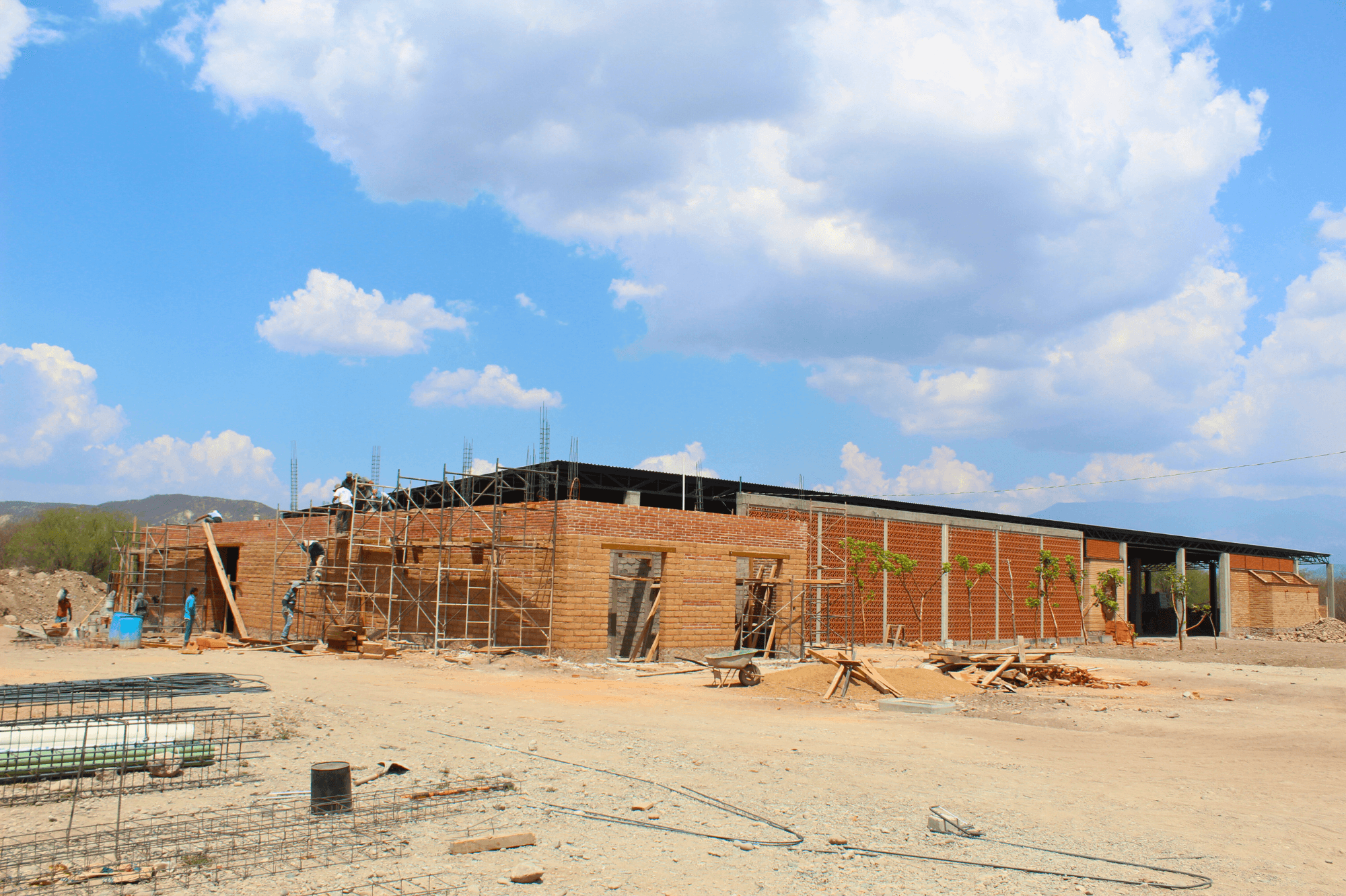 La Producción Sostenible del Mezcal: Un Modelo para el Futuro